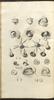 12226-Thumbnail Image.jpg