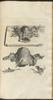 12253-Thumbnail Image.jpg