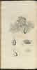 12254-Thumbnail Image.jpg