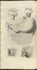 12257-Thumbnail Image.jpg