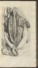 12264-Thumbnail Image.jpg