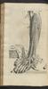 12273-Thumbnail Image.jpg