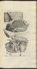 12279-Thumbnail Image.jpg
