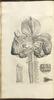 12292-Thumbnail Image.jpg