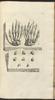 12293-Thumbnail Image.jpg