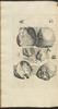 12297-Thumbnail Image.jpg