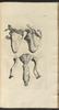 12298-Thumbnail Image.jpg