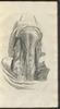 12308-Thumbnail Image.jpg