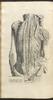 12322-Thumbnail Image.jpg