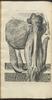12352-Thumbnail Image.jpg