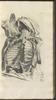 12360-Thumbnail Image.jpg