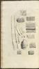 12364-Thumbnail Image.jpg