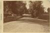 12437-Thumbnail Image.jpg