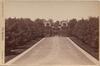 12451-Thumbnail Image.jpg