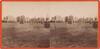 12497-Thumbnail Image.jpg