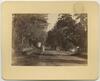 12544-Thumbnail Image.jpg