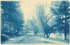 12610-Thumbnail Image.jpg