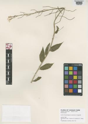 6965-Service File.jpg
