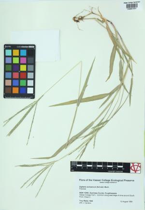 9933-Service File.jpg