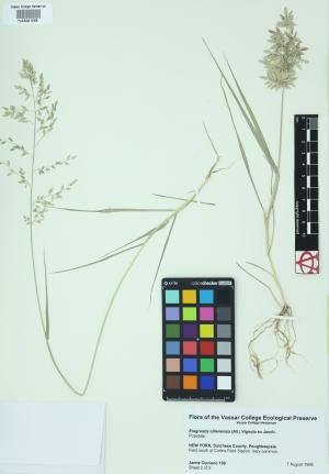 9945-Service File.jpg