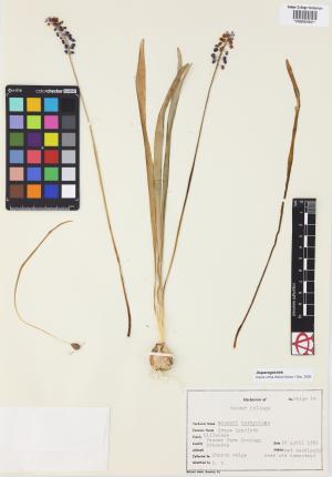 9948-Service File.jpg