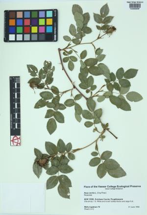 9952-Service File.jpg