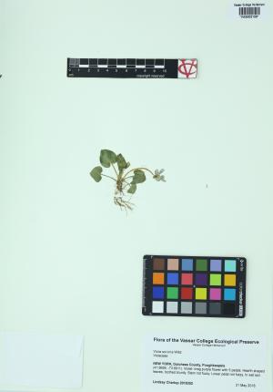 9962-Service File.jpg