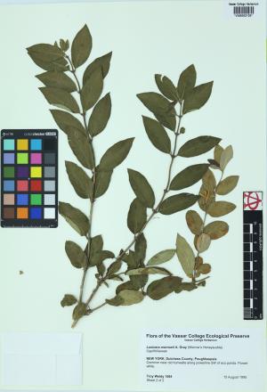 9971-Service File.jpg