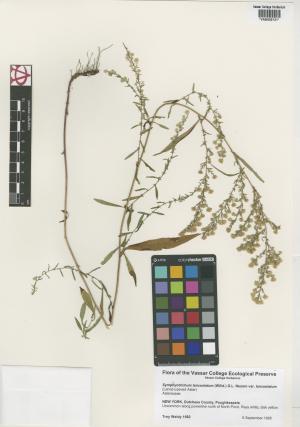 9972-Service File.jpg