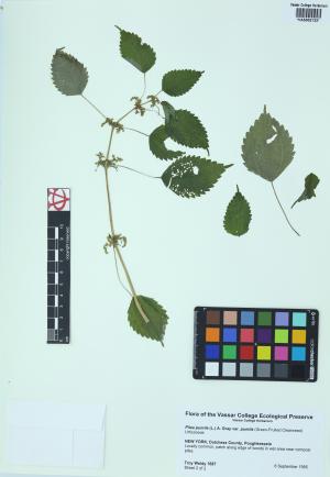 9974-Service File.jpg
