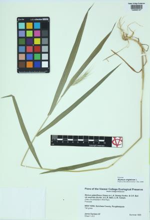 9975-Service File.jpg