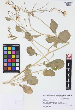 9987-Service File.jpg