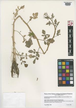 9988-Service File.jpg