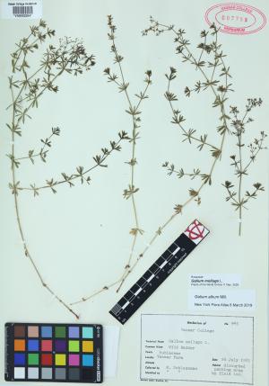 9990-Service File.jpg