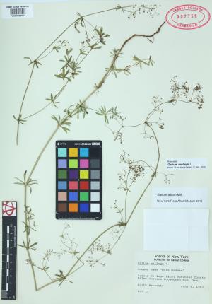 9991-Service File.jpg