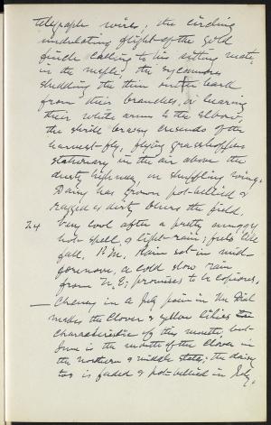 13771-Service File.jpg