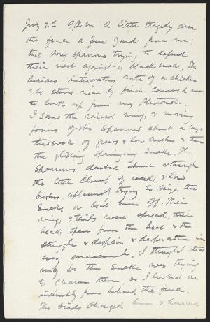 14134-Service File.jpg