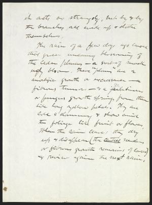 14144-Service File.jpg