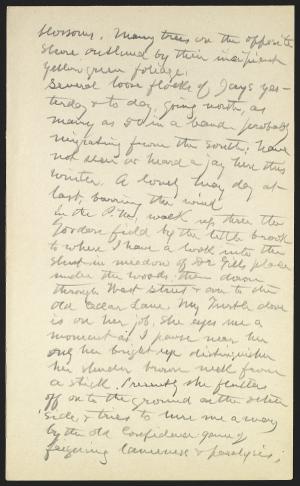 14241-Service File.jpg