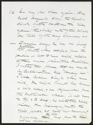 14281-Service File.jpg