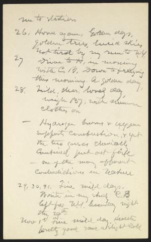 14380-Service File.jpg