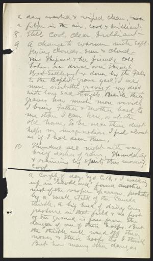 14441-Service File.jpg