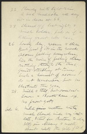 14461-Service File.jpg