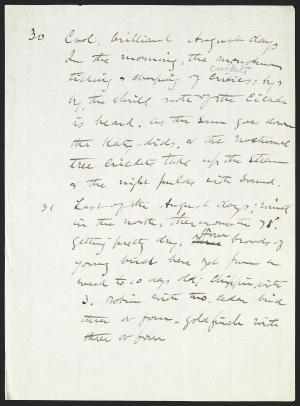 14515-Service File.jpg