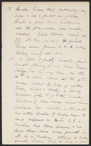 14672-Service File.jpg
