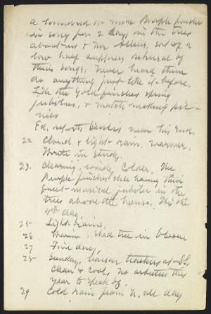 14679-Service File.jpg
