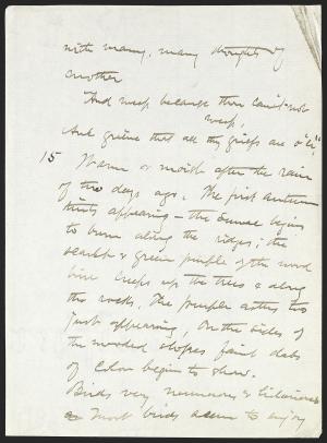 14800-Service File.jpg