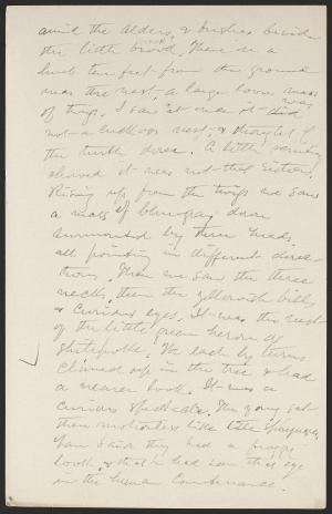 14959-Service File.jpg
