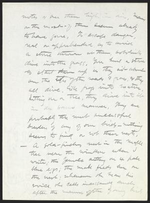 14961-Service File.jpg
