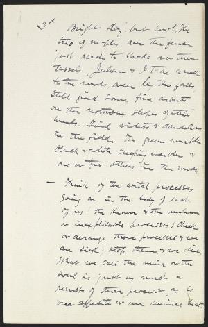 15028-Service File.jpg